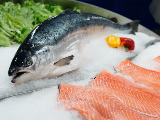 Imported Salmon Suppliers