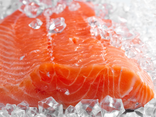 Imported Salmon Suppliers