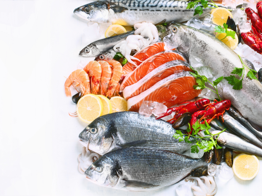 Bali Seafood Suppliers