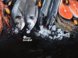 Bali Seafood Suppliers