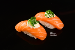 Supplier Salmon Import