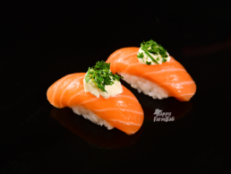 Supplier Salmon Import