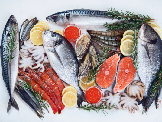 Supplier Seafood Bali