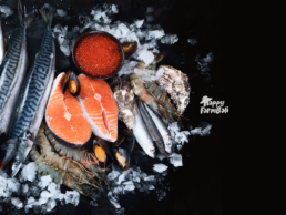 Supplier Seafood Bali