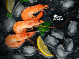 Tips Memilih Seafood Segar Berkualitas