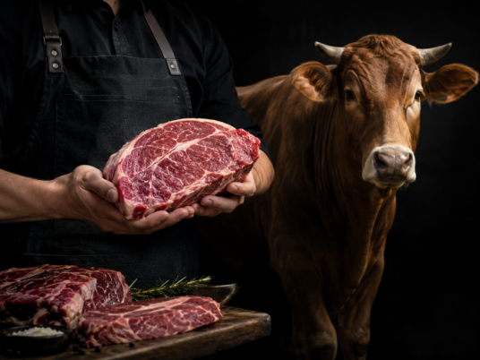 Most Tender Cuts of Beef