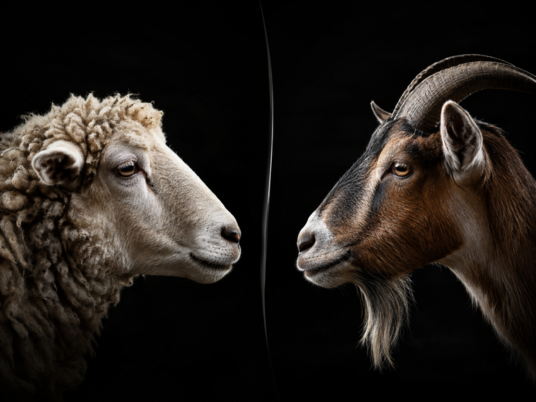 Perbedaan Daging Domba dan Kambing