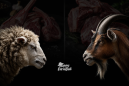 The Differences Between Lamb and Goat Meat