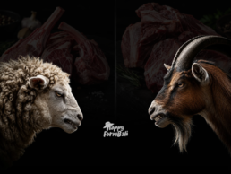The Differences Between Lamb and Goat Meat