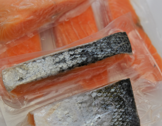 Salmon Fish Parts