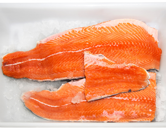 Bagian Ikan Salmon