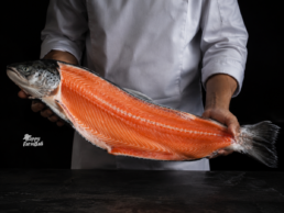 Bagian Ikan Salmon