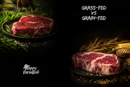 Grass Fed vs Grain Fed