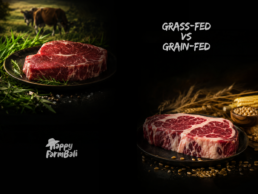 Grass Fed vs Grain Fed