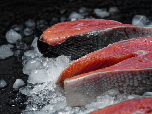 How to Store Salmon